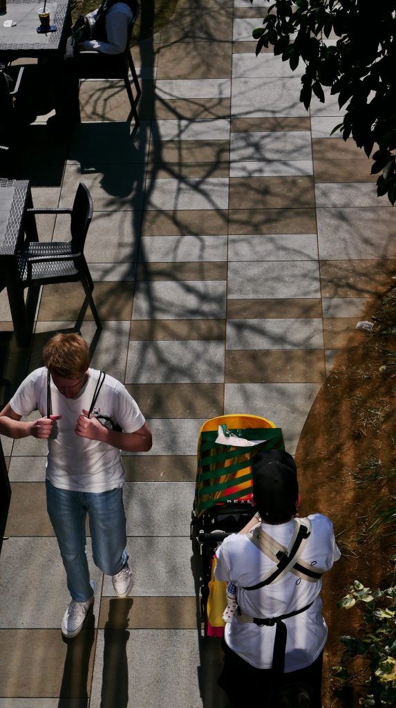 Tokyo 30 — Tokyo / 2025.03. / Leica D-Lux 7